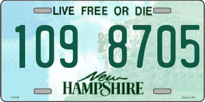 NH license plate 1098705