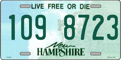 NH license plate 1098723