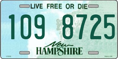 NH license plate 1098725