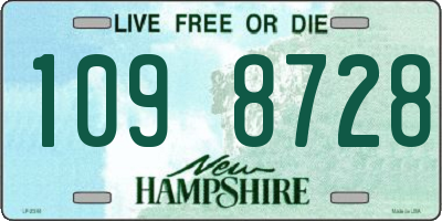 NH license plate 1098728