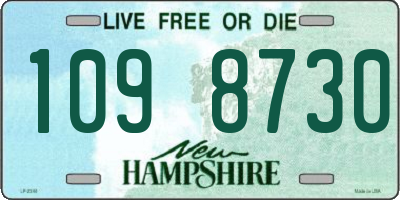 NH license plate 1098730