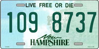 NH license plate 1098737