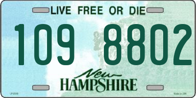 NH license plate 1098802