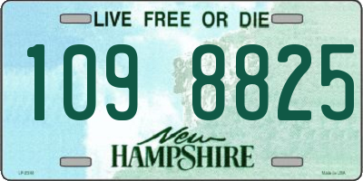NH license plate 1098825