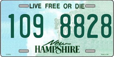 NH license plate 1098828