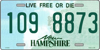 NH license plate 1098873