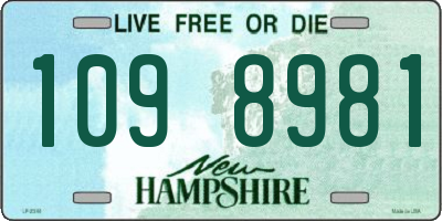 NH license plate 1098981