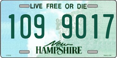 NH license plate 1099017
