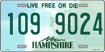 NH license plate 1099024