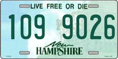 NH license plate 1099026