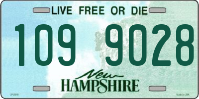 NH license plate 1099028