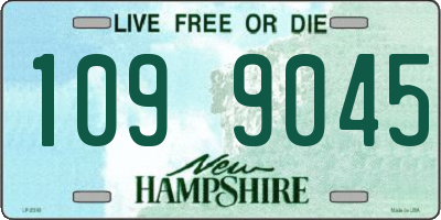 NH license plate 1099045