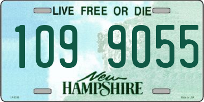 NH license plate 1099055