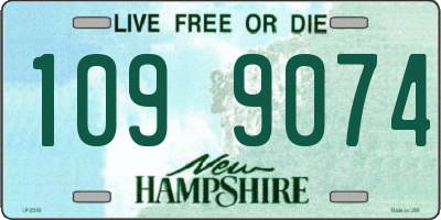 NH license plate 1099074