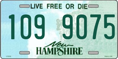 NH license plate 1099075