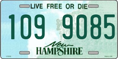 NH license plate 1099085