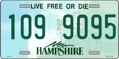 NH license plate 1099095