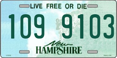 NH license plate 1099103