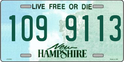 NH license plate 1099113