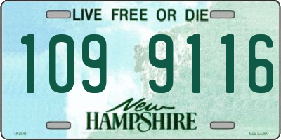 NH license plate 1099116