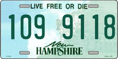 NH license plate 1099118