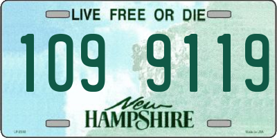 NH license plate 1099119