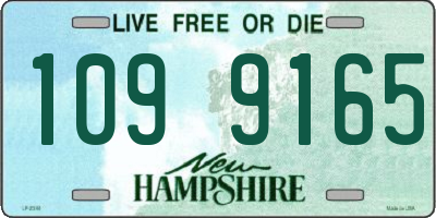 NH license plate 1099165