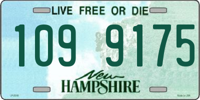 NH license plate 1099175