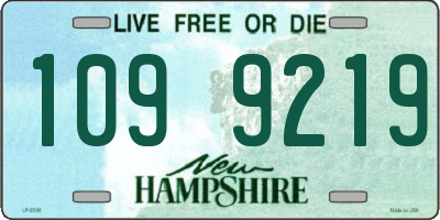 NH license plate 1099219