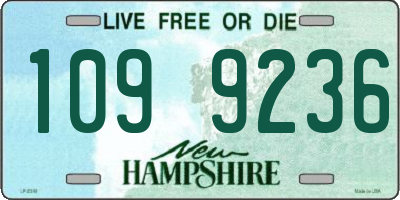 NH license plate 1099236