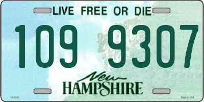 NH license plate 1099307