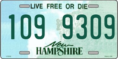 NH license plate 1099309