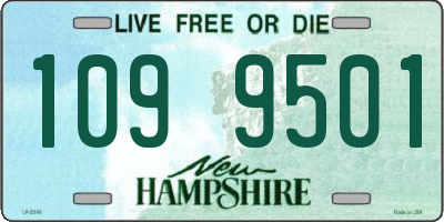 NH license plate 1099501