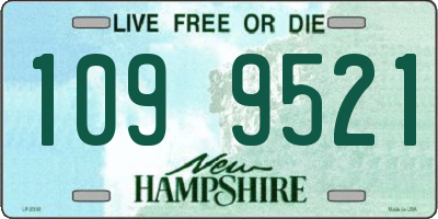 NH license plate 1099521