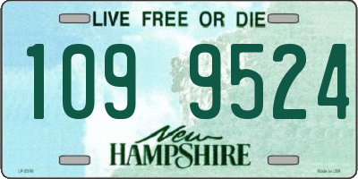 NH license plate 1099524