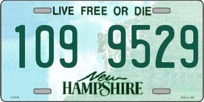 NH license plate 1099529