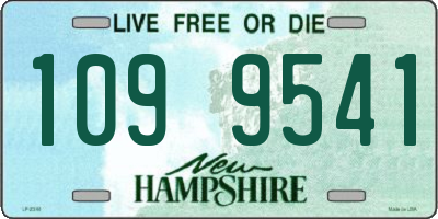 NH license plate 1099541