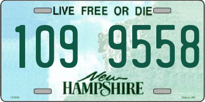 NH license plate 1099558