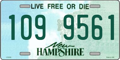 NH license plate 1099561