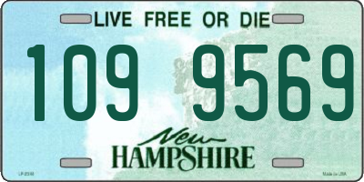 NH license plate 1099569