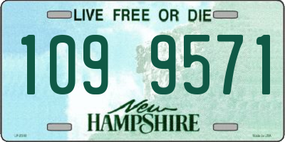 NH license plate 1099571