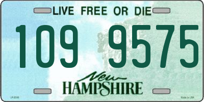 NH license plate 1099575