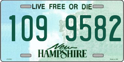 NH license plate 1099582