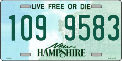 NH license plate 1099583