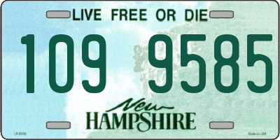 NH license plate 1099585