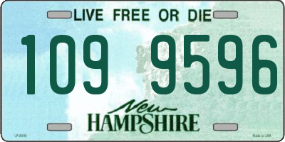 NH license plate 1099596