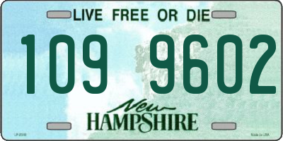 NH license plate 1099602