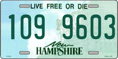 NH license plate 1099603