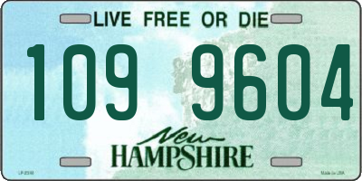 NH license plate 1099604