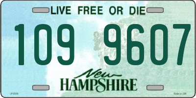 NH license plate 1099607
